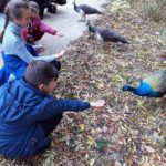 Осенние каникулы в Аскания-Нова для детей из  Воскресной школы «Аз, буки, веди»